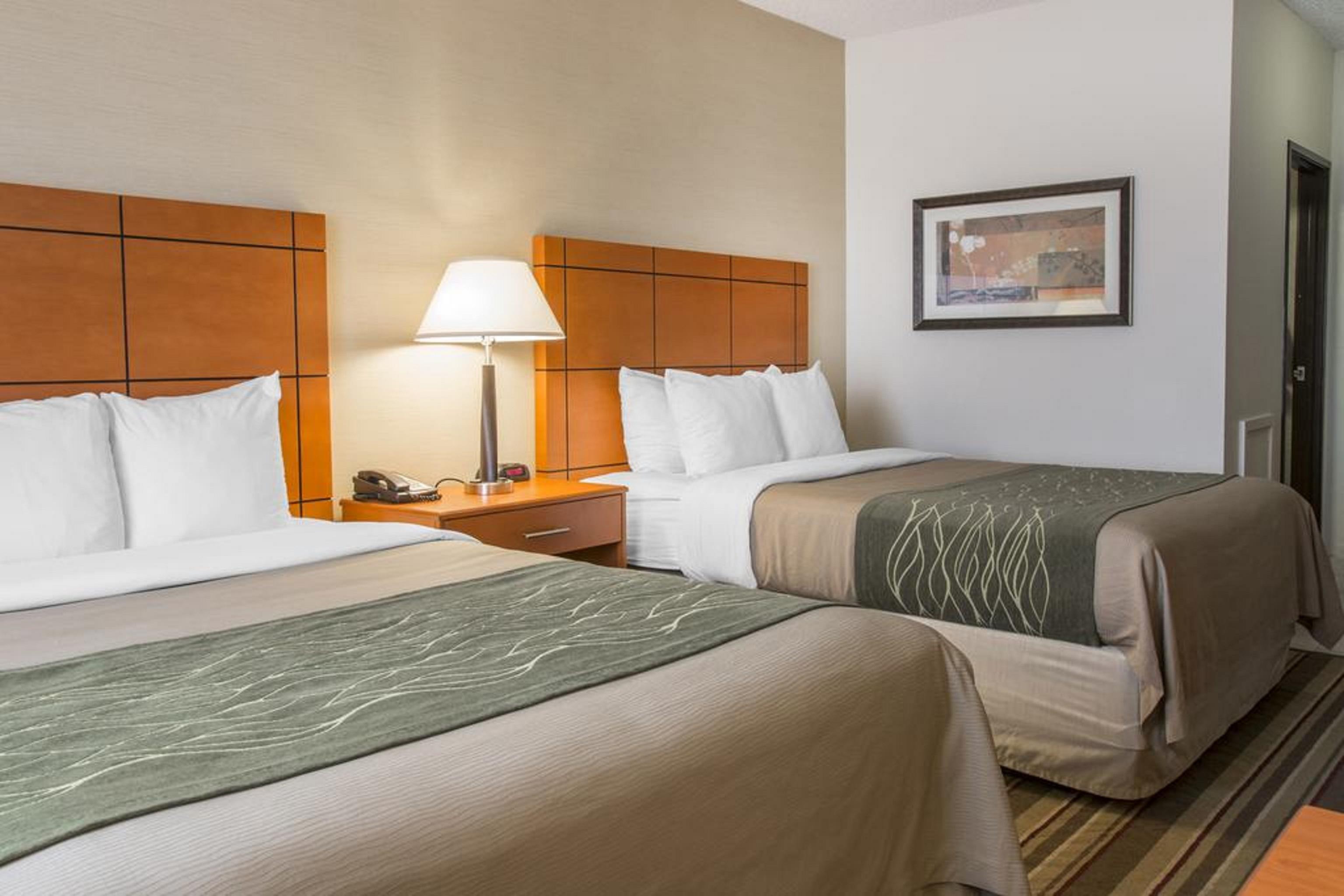 Comfort Inn and Suites Ambassador Bridge - UPDATED 2024 Prices, Reviews &  Photos (Windsor, Ontario) - Hotel - Tripadvisor
